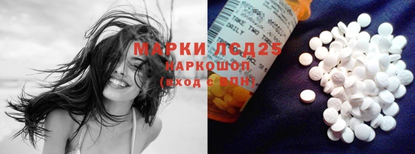 сатива Покачи