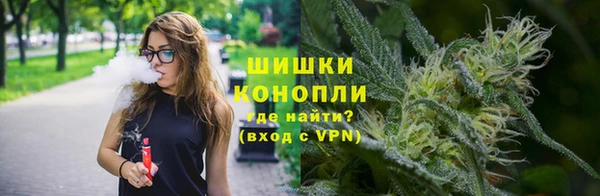 сатива Покачи