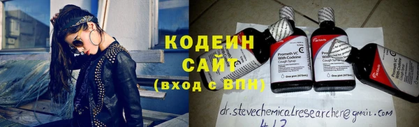 сатива Покачи