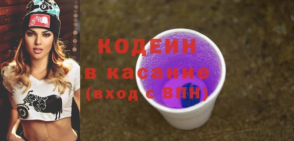 сатива Покачи