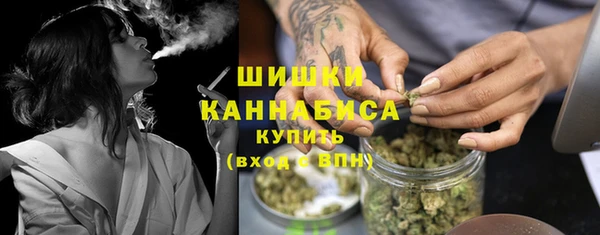 сатива Покачи