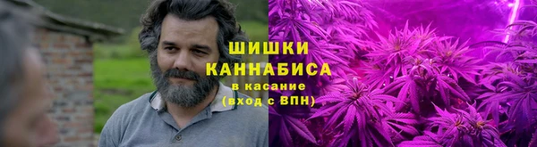 сатива Покачи