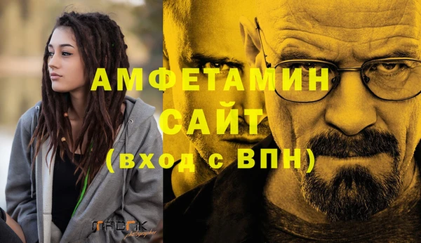 сатива Покачи
