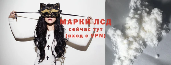сатива Покачи