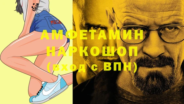 сатива Покачи