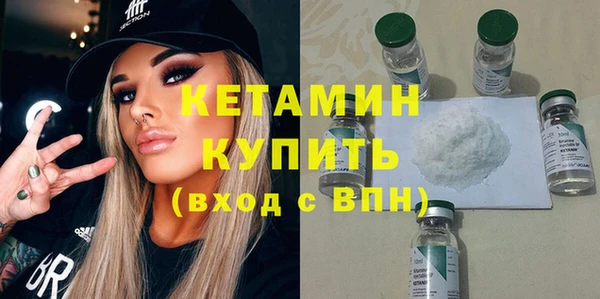 сатива Покачи