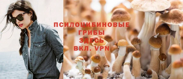 дурь Покров