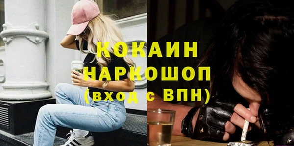 сатива Покачи
