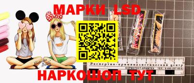 альфа пвп Аргун