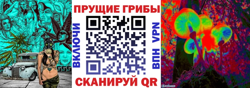 omg вход  Ахтубинск  Галлюциногенные грибы мицелий 